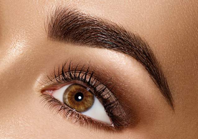 Beauty Brunette Woman Eye with Perfect Makeup. Beautiful Profess